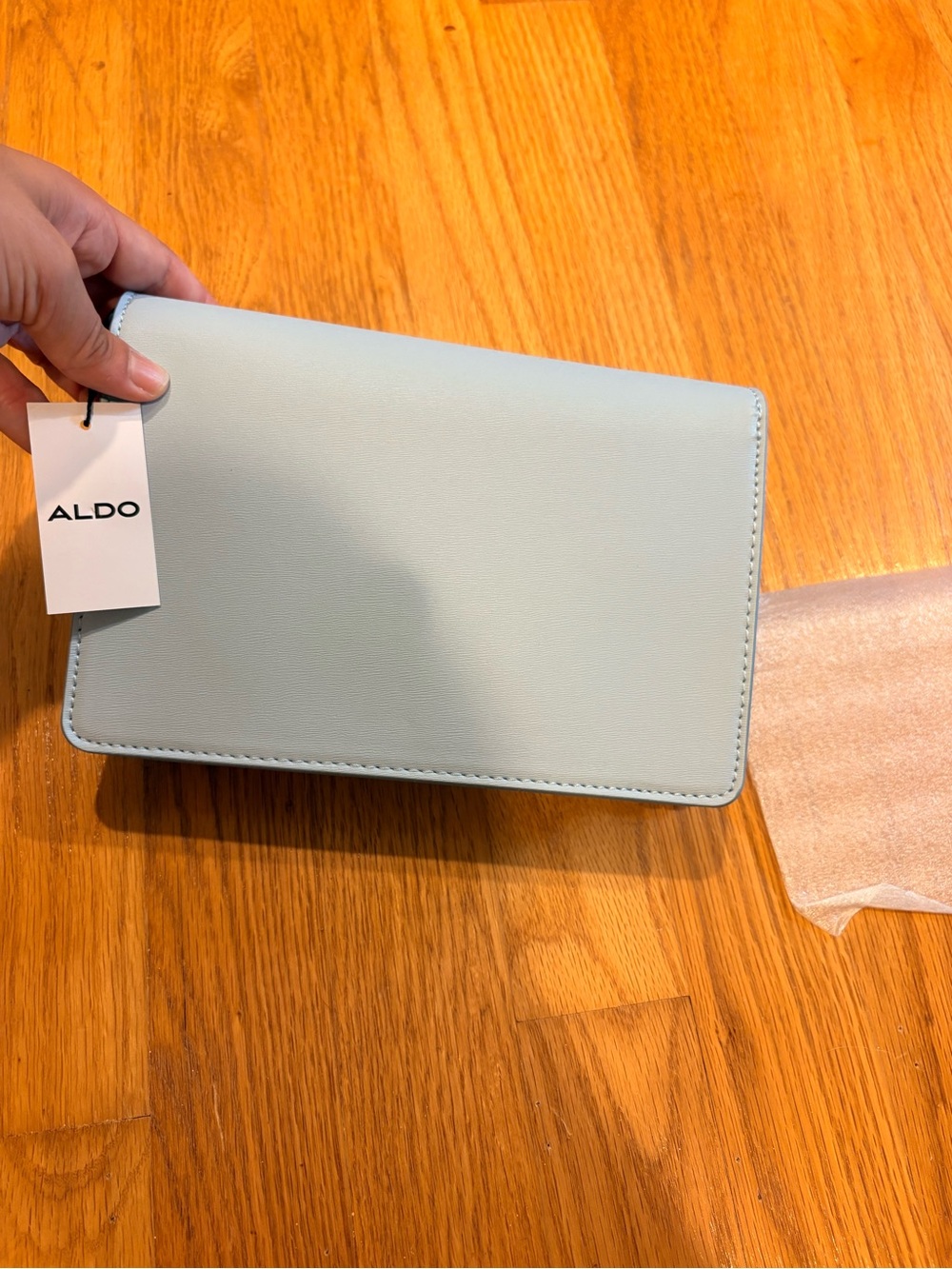 ALDO Pale Blue Slim Clutch